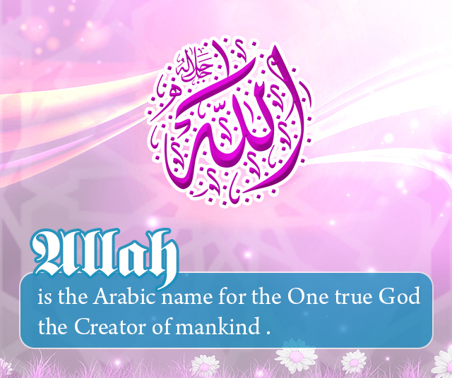 Basics of islam about islam